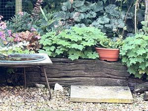 Garden- click for photo gallery